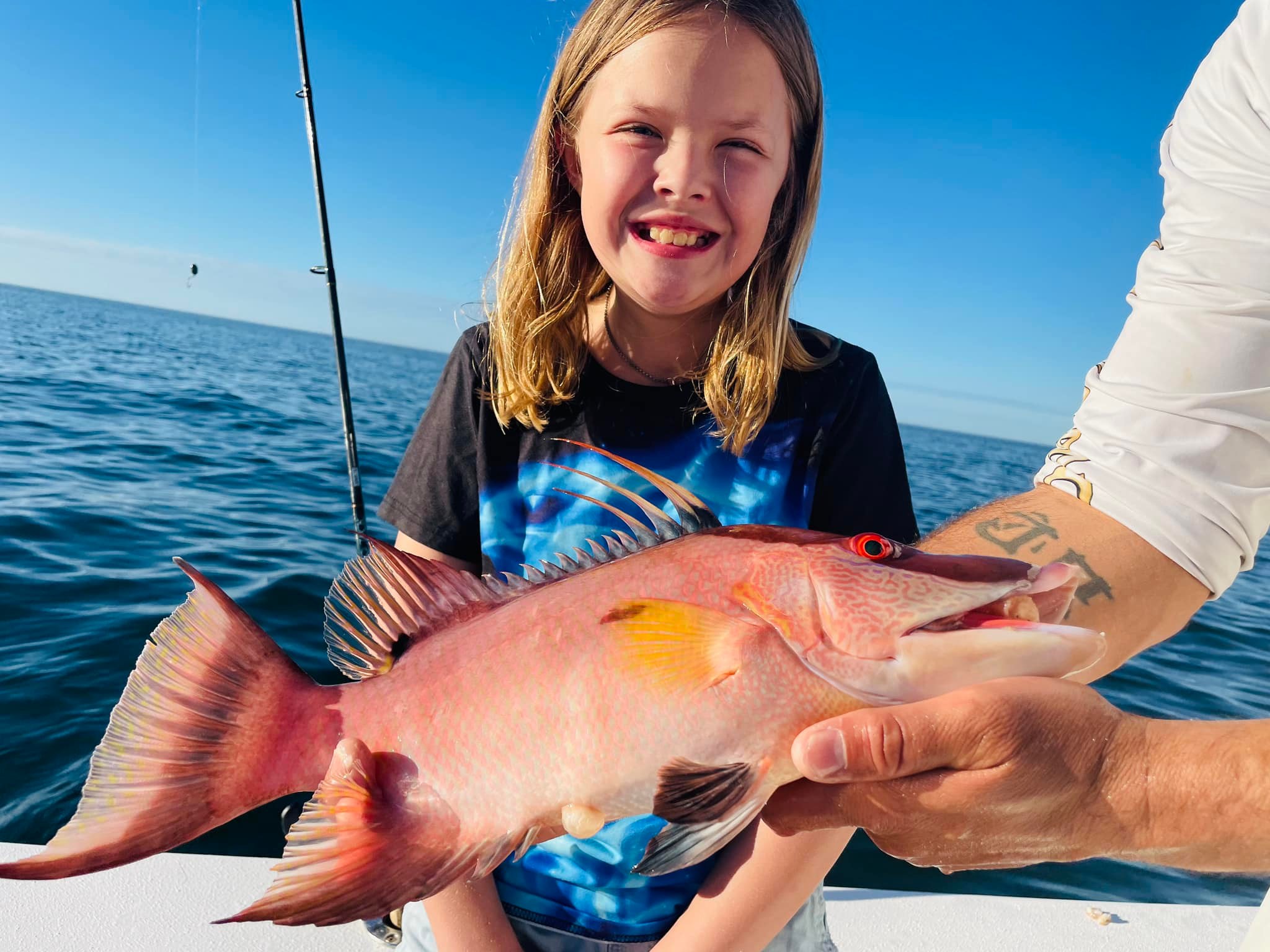 A single Hogfish, a 25-inch saltwater fish, caught while fishing in Holmes Beach