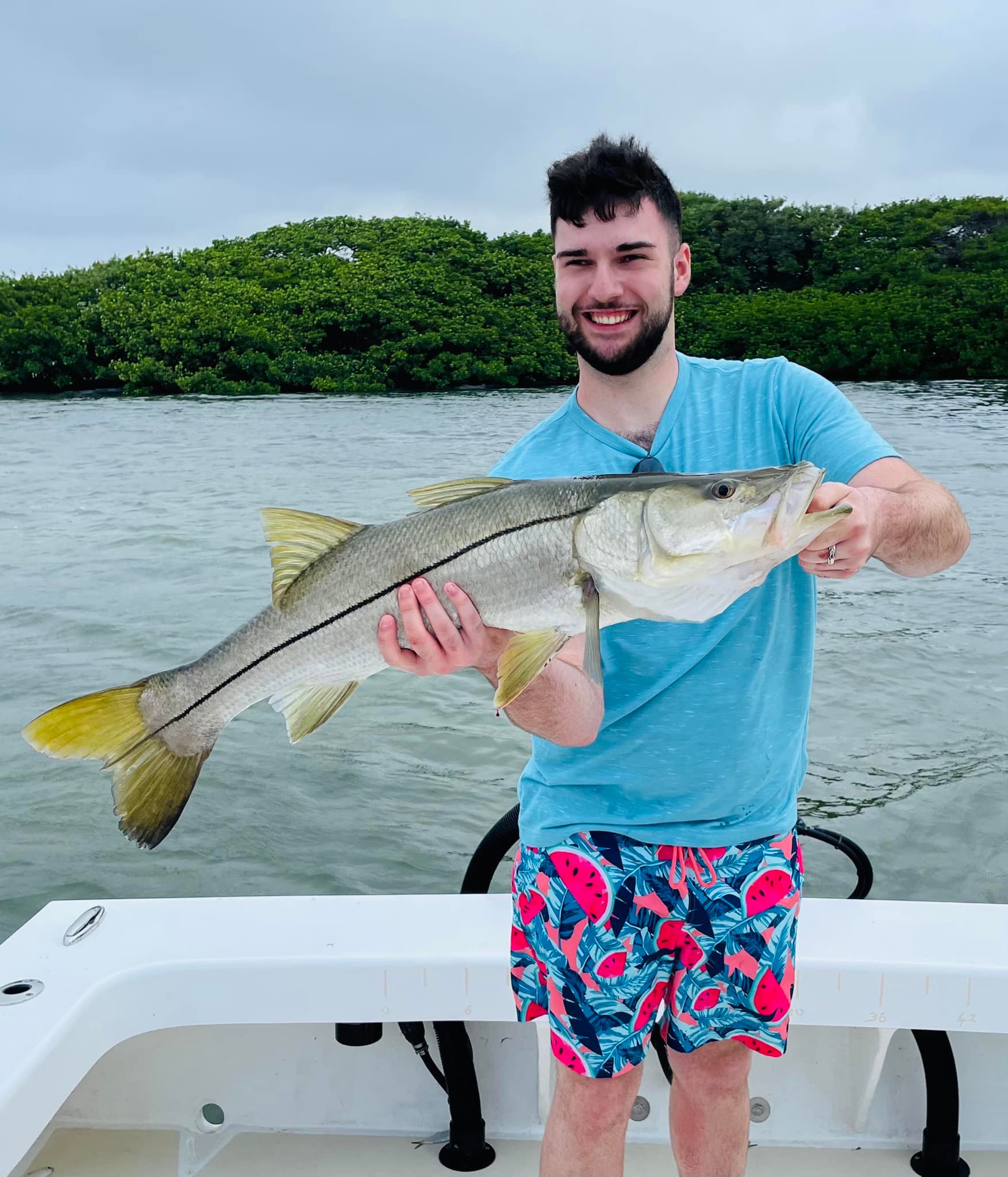 Snook fish caught while fishing in Holmes Beach, Florida