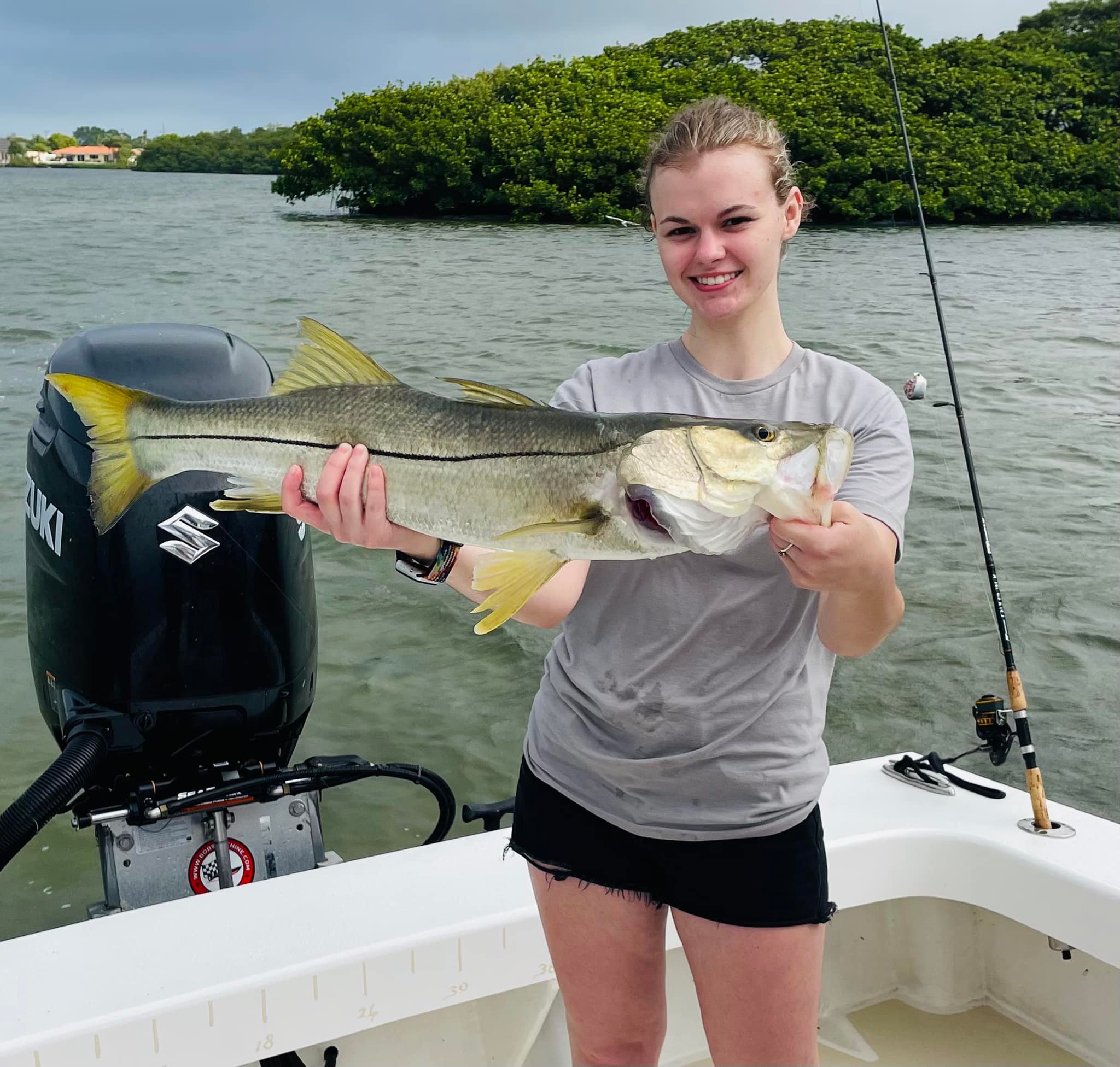 A snook fish caught by an angler in Holmes Beach
