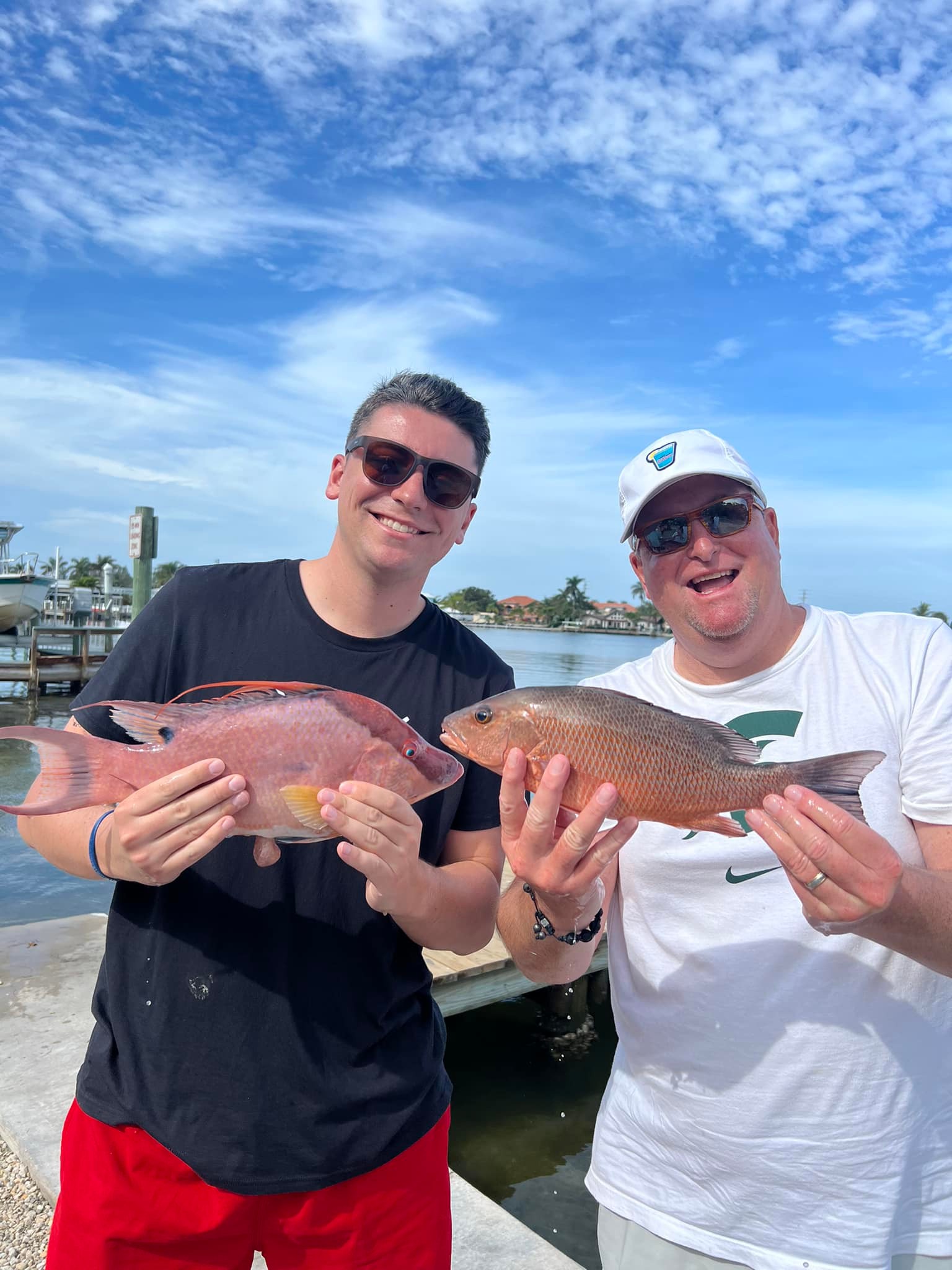 Two grey snapper and hogfish caught on fishing trip in FL