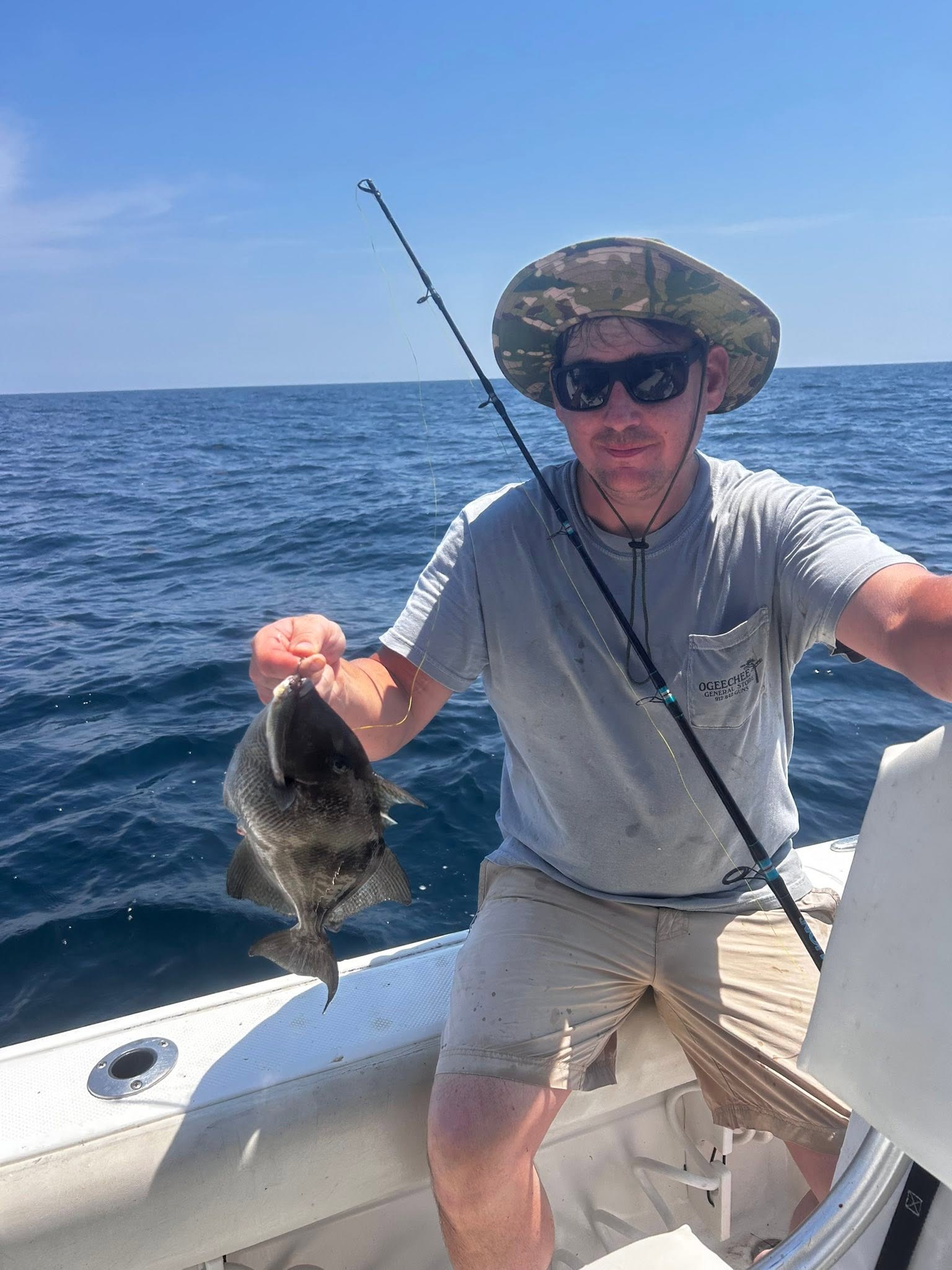 Grey triggerfish caught on fishing charter in Midway GA waters