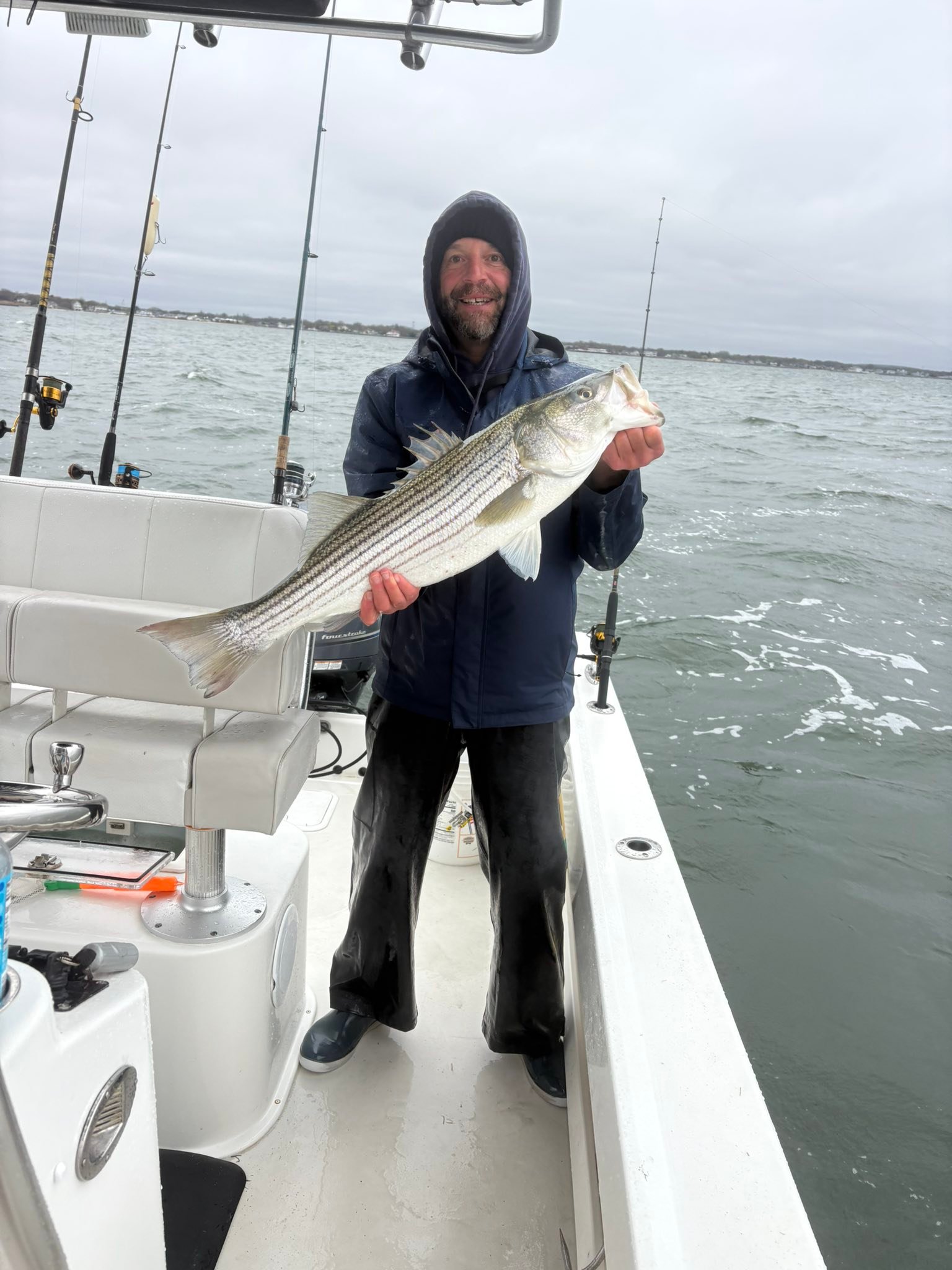 Striped bass catch on fishing boat in Mastic Beach NY waters