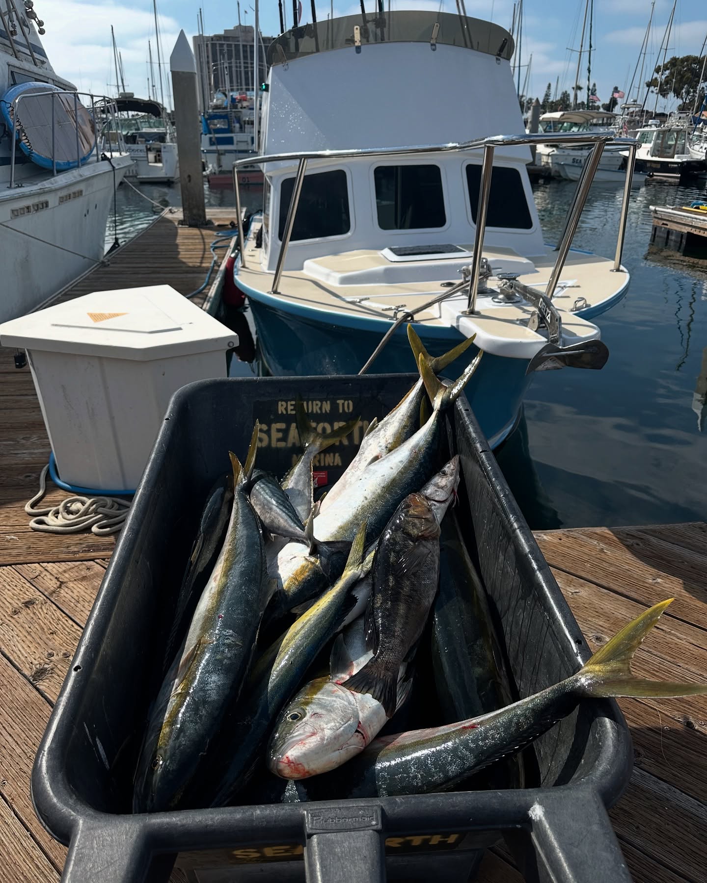 Three fishing friends enjoy a day out on the water in San Diego.