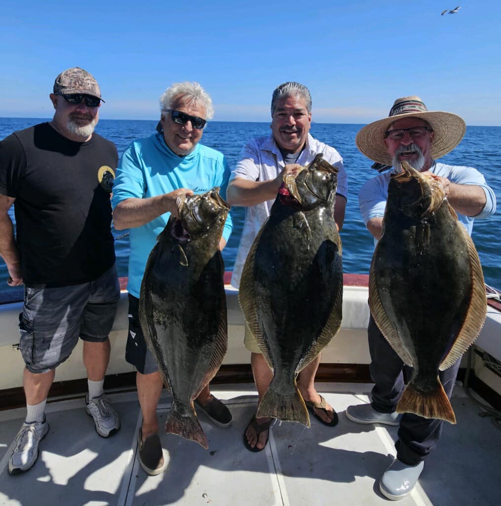 Three summer flounder caught during fishing tour in San Diego
