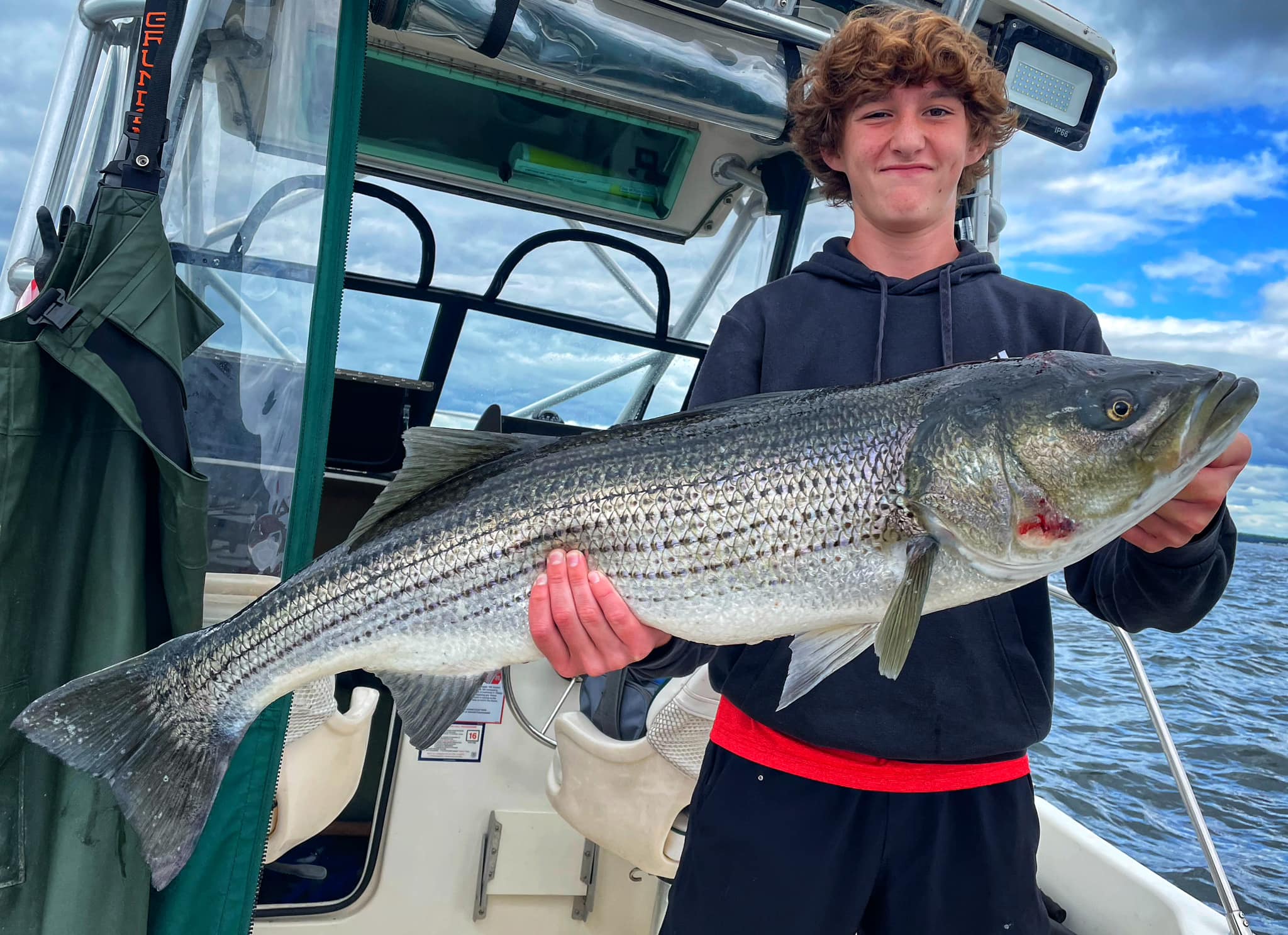 Striped bass caught in Saco, Maine
