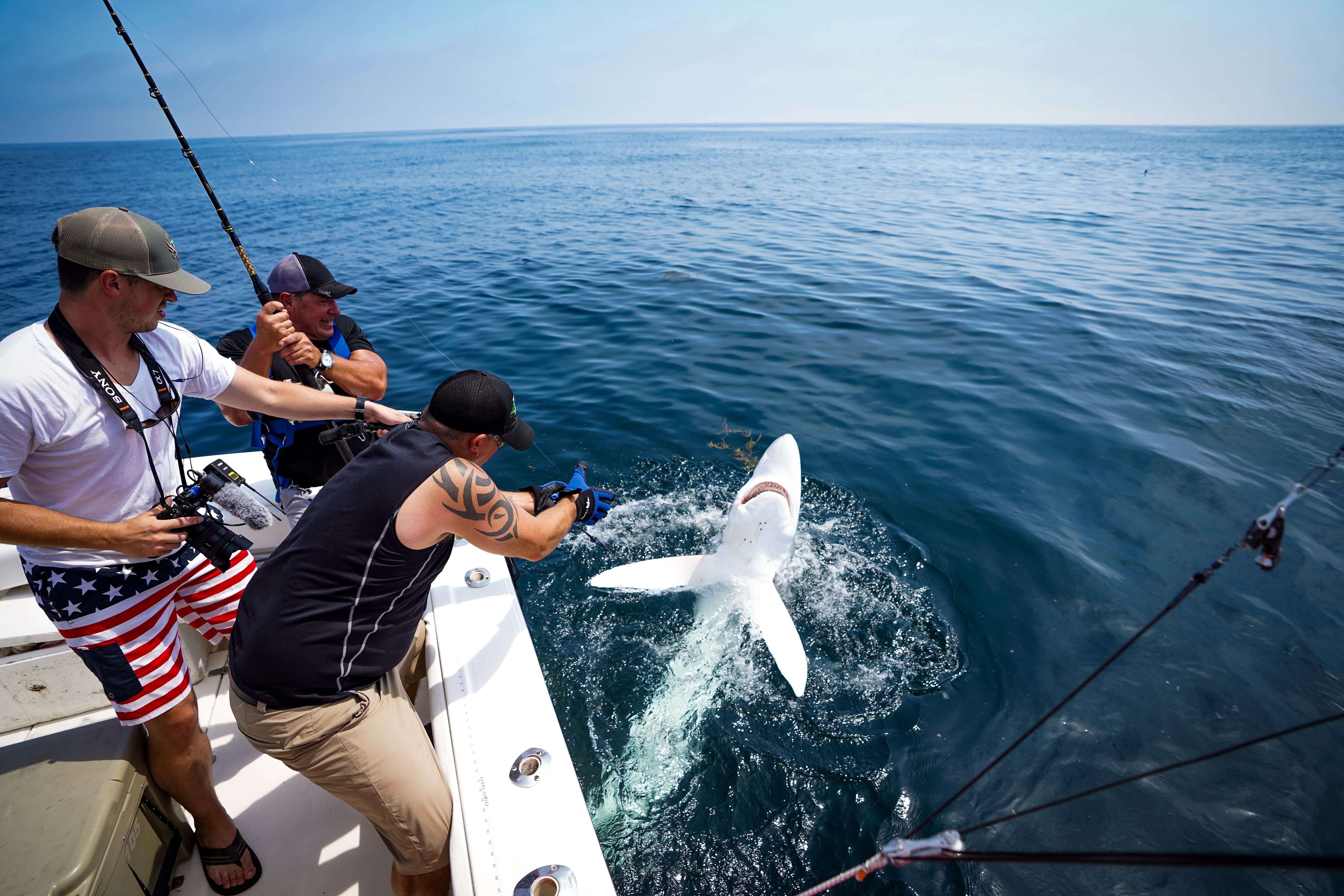 Maine shark fishing charter boat with angler reeling in large shark on 8-hour inshore trip