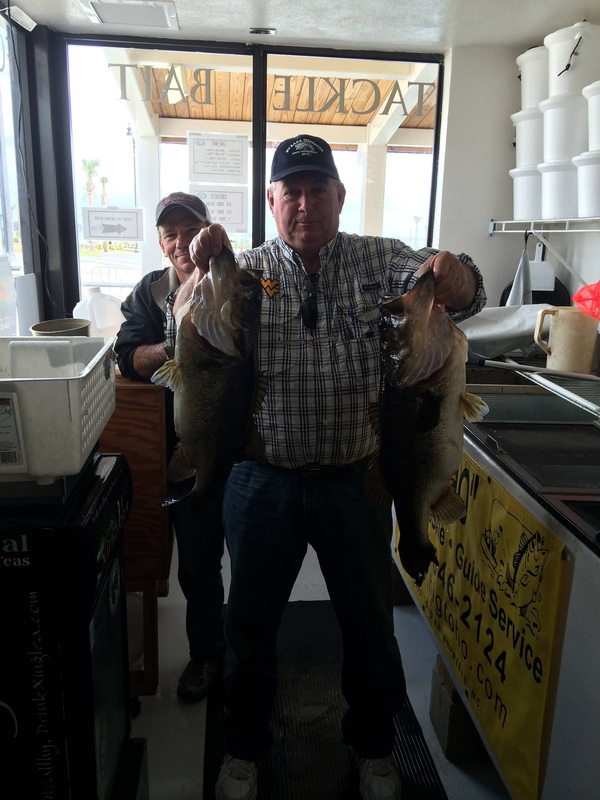 Two chub mackerel, each around 31 inches long, caught while fishing in St. Cloud