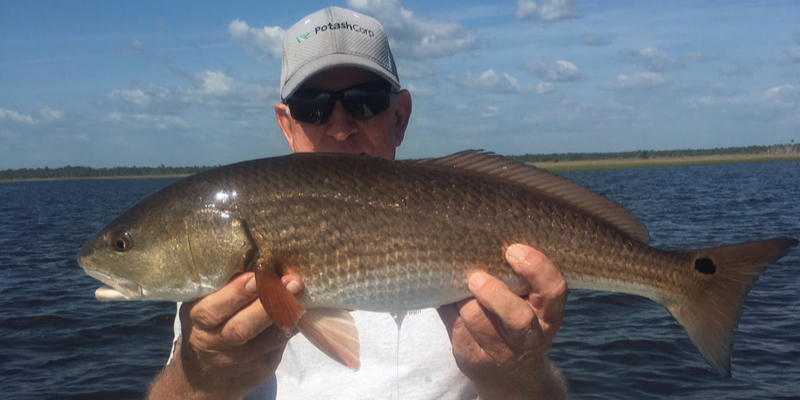Steinhatchee inshore fishing charter boat on flats targeting trout, redfish, flounder