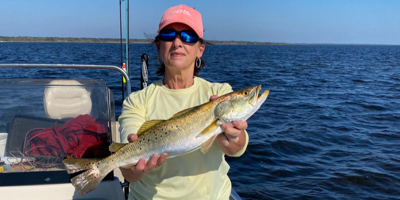Steinhatchee River private cruise boat tour for families, 3-hour scenic wildlife viewing trip