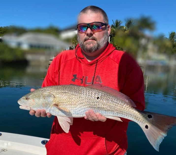 Redfish caught in Sarasota