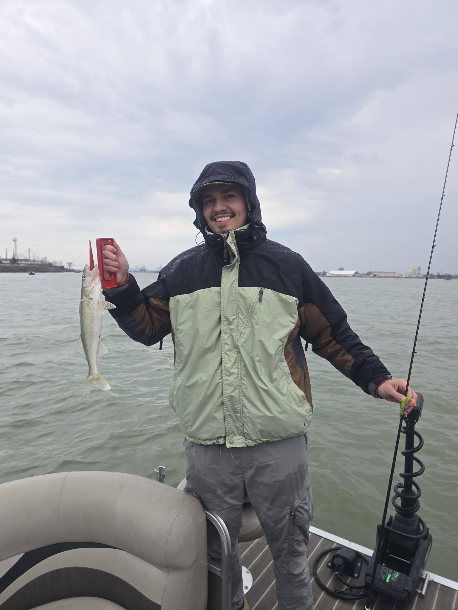 Walleye caught while fishing on boat in Monroe Michigan