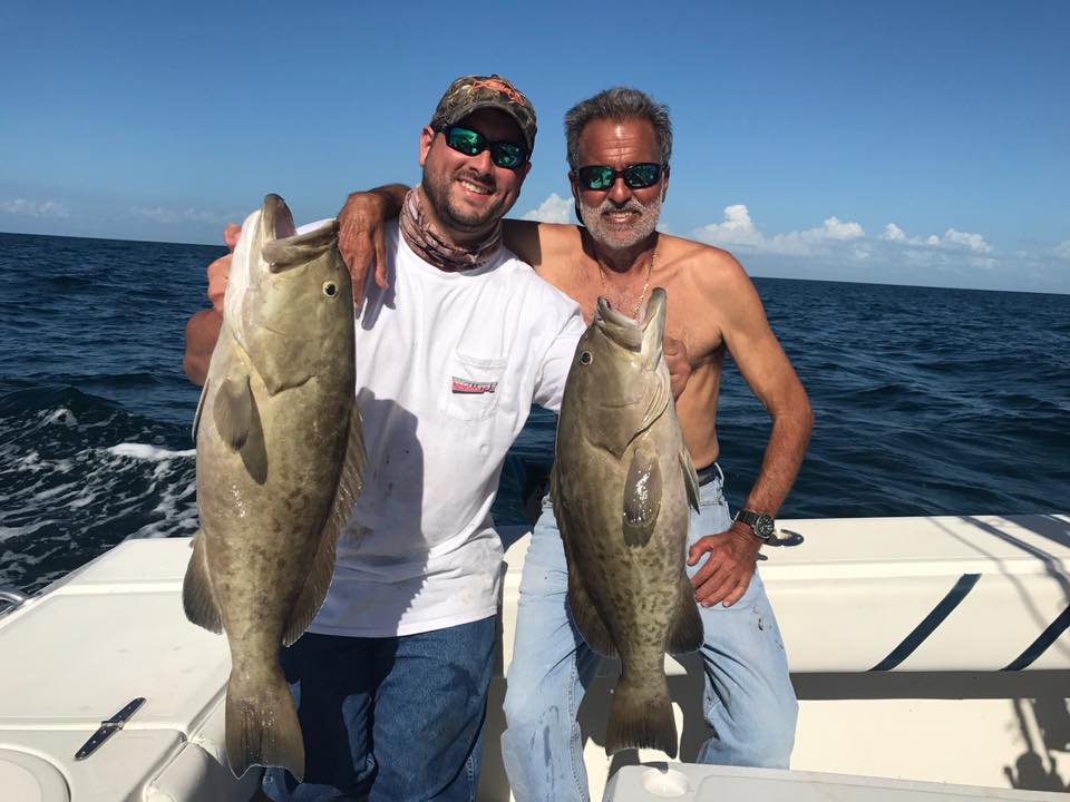Two gag grouper fish, 26 inches long, caught while fishing in FL
