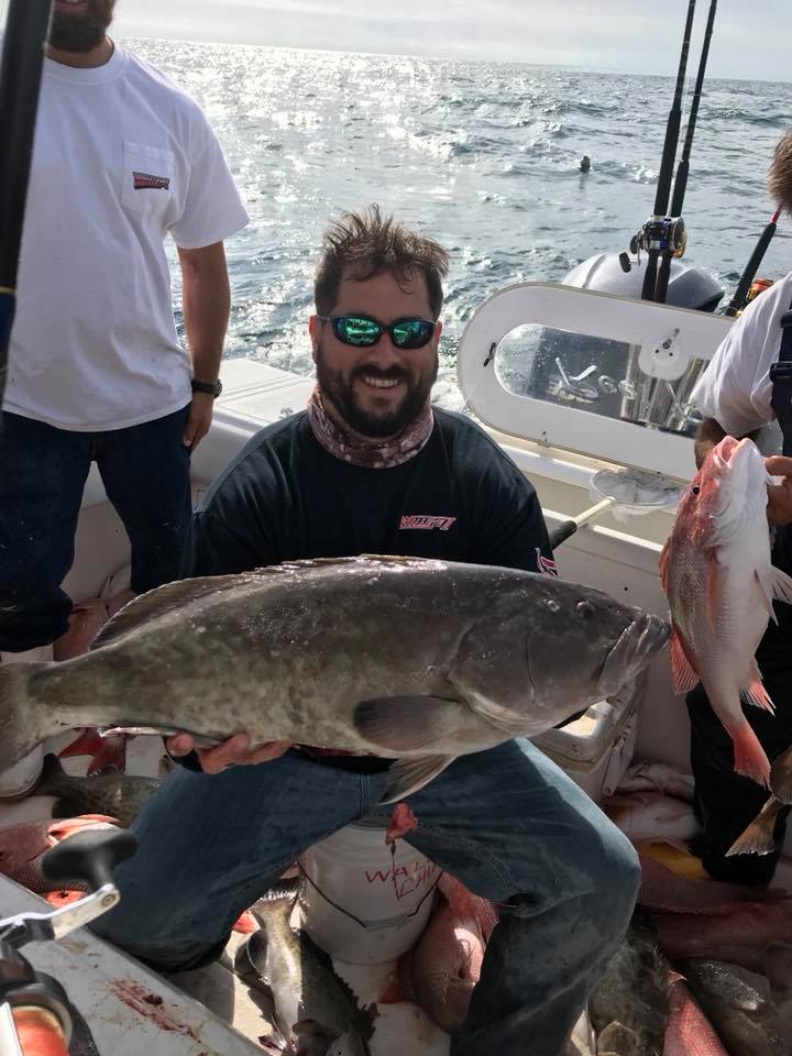 Gag grouper fish caught in Tarpon Springs