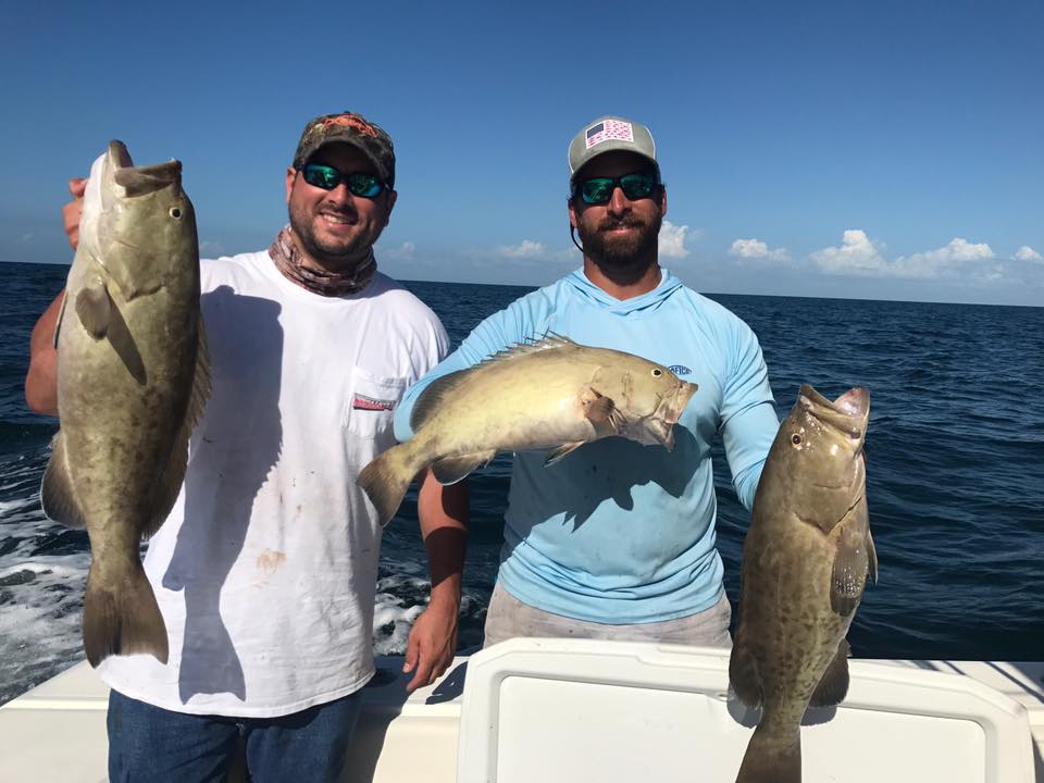 Three gag groupers caught in Tarpon Springs, Florida