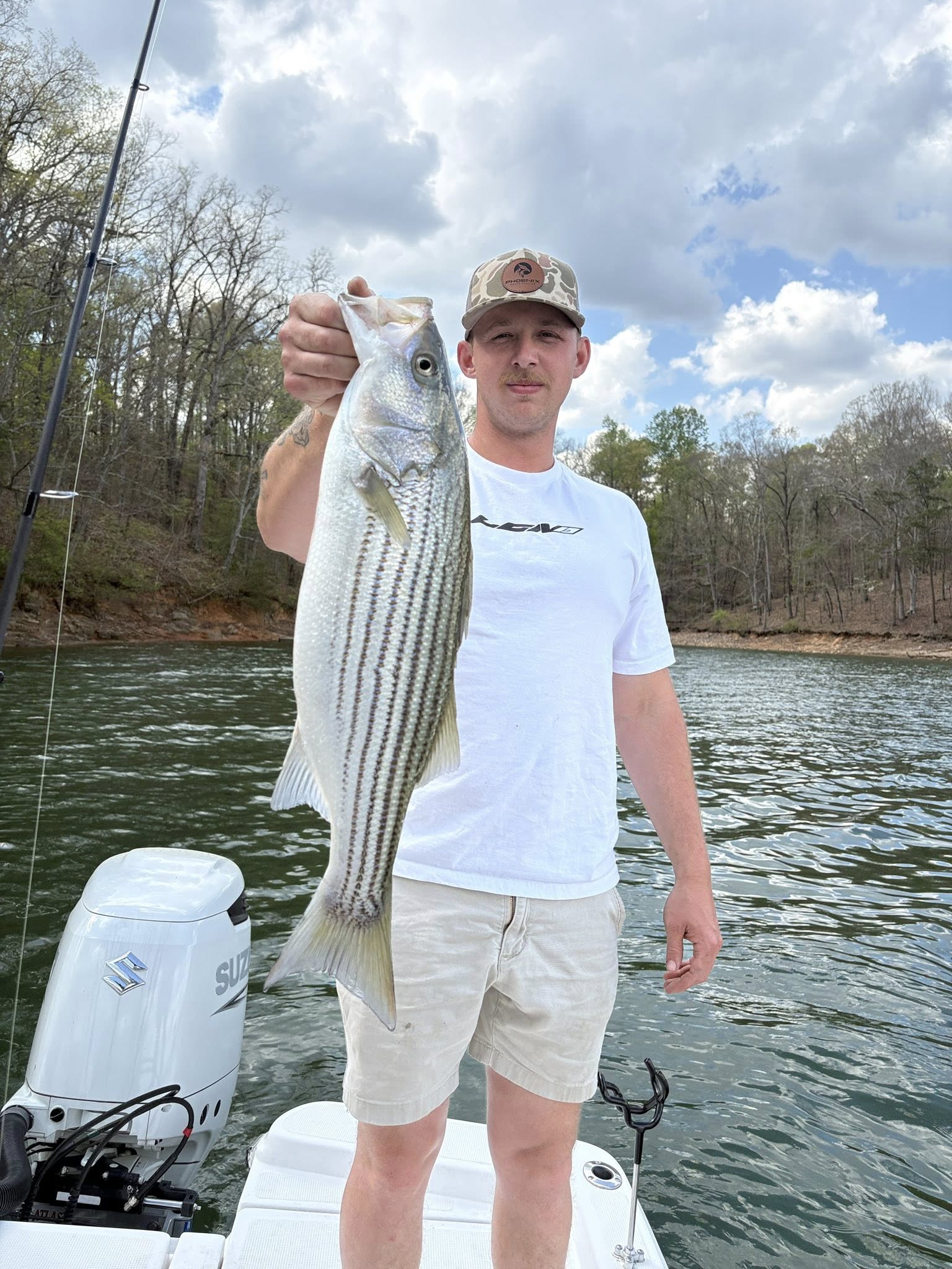 Striped bass catch from fishing trip in Gainesville GA