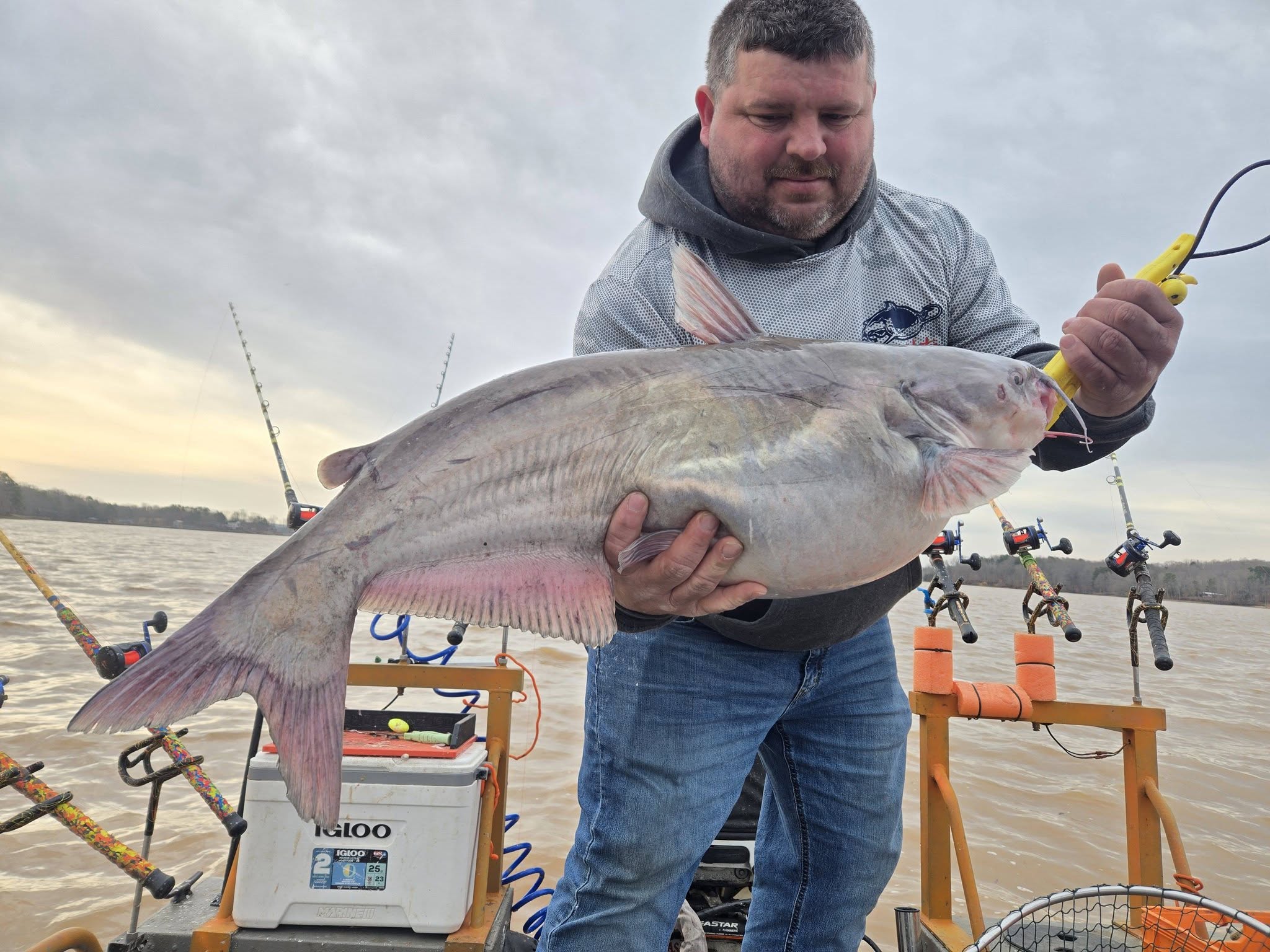 Large blue catfish caught while fishing in Mocksville NC
