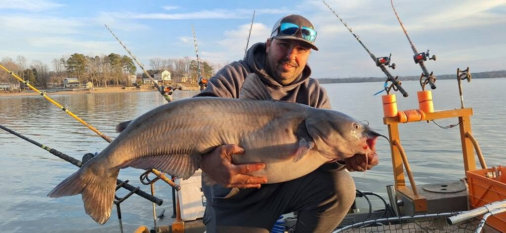 Blue catfish caught fishing in Mocksville NC held on boat with fishing rods