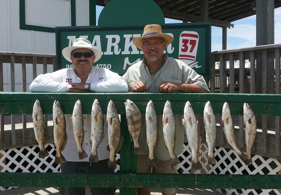 12 black drum fish caught in Murrells Inlet