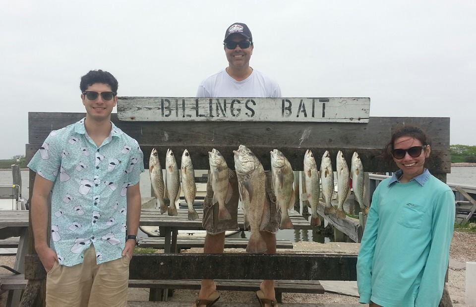 A group of 6 black drum fish caught at Murrells Inlet while fishing