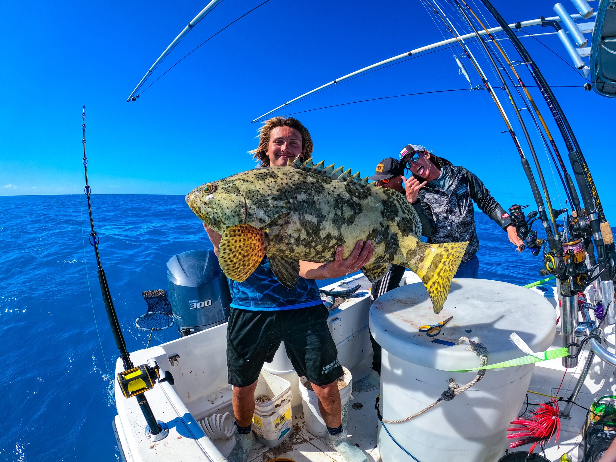 Lingcod fish caught while fishing in Key West