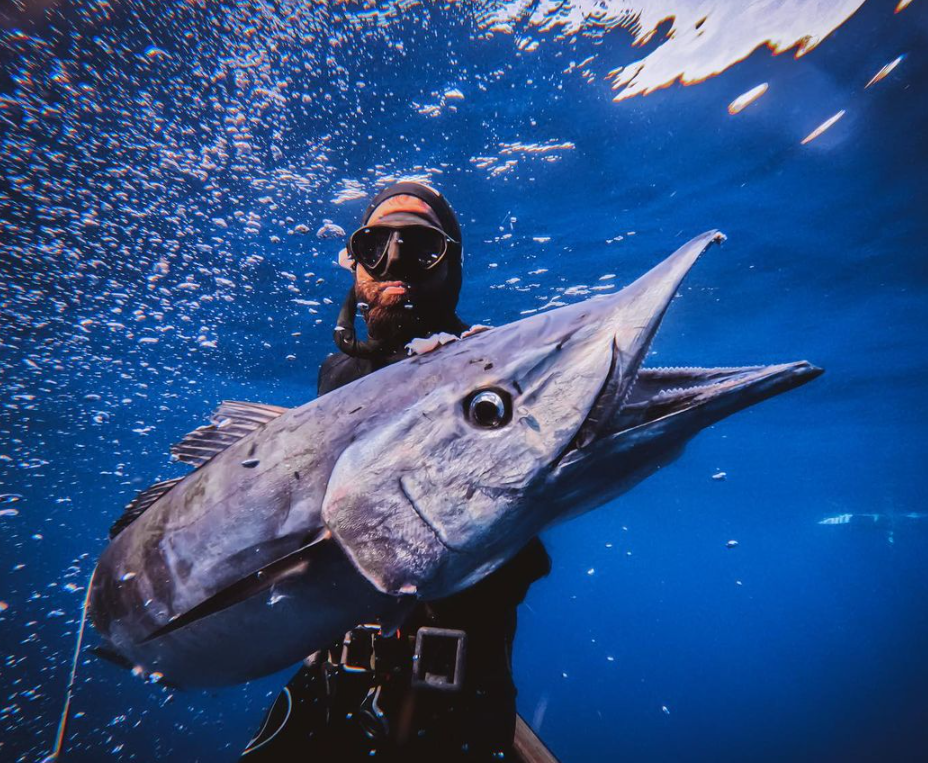One fisherman landing a 33-inch fish in PR