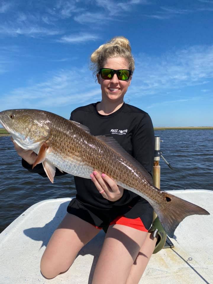 Redfish caught in FL measuring 31 inches