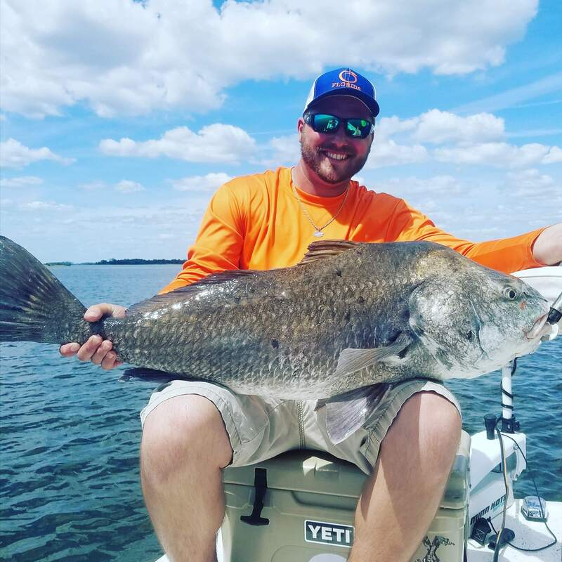 A photo of a Black Drum fish caught at Horseshoe Beach