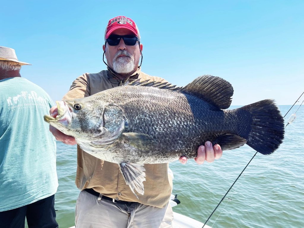 A lone angler reels in a 31-inch catch in FL