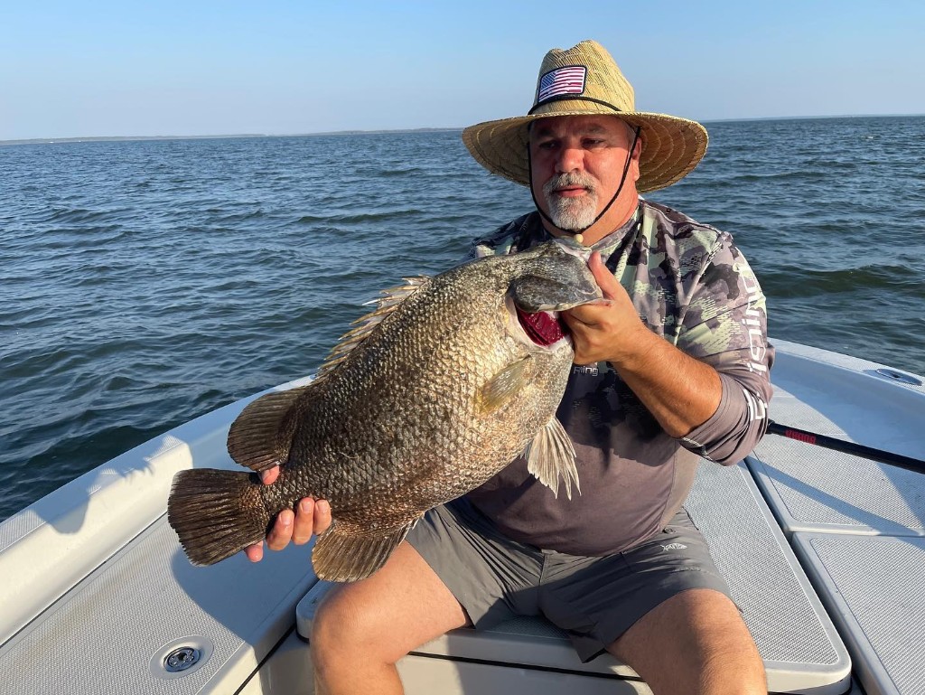 Tripletail fish caught during fishing trip in FL
