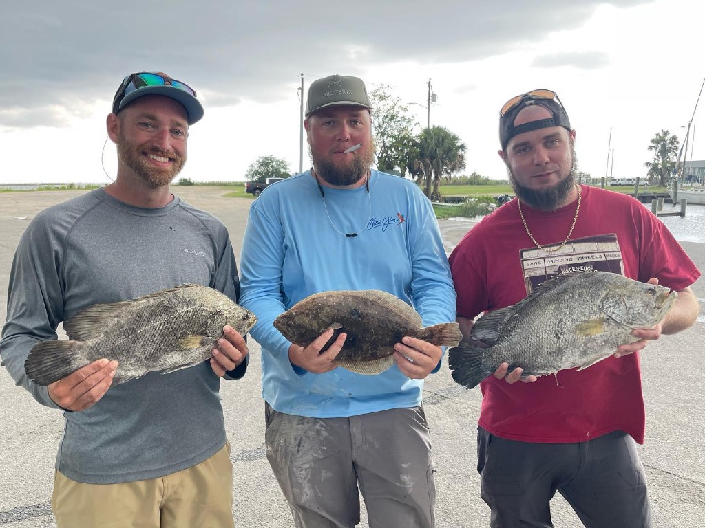 3 tripletail fish caught in crawfordville