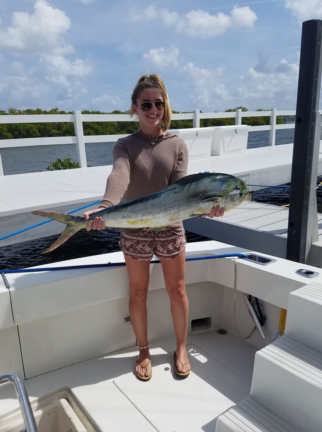 A large mahi mahi or common dolphinfish caught while fishing in FL
