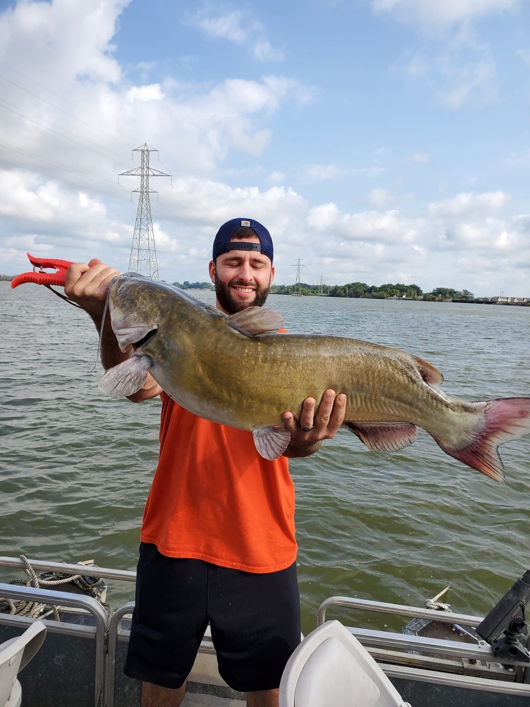 Blue catfish caught in OH