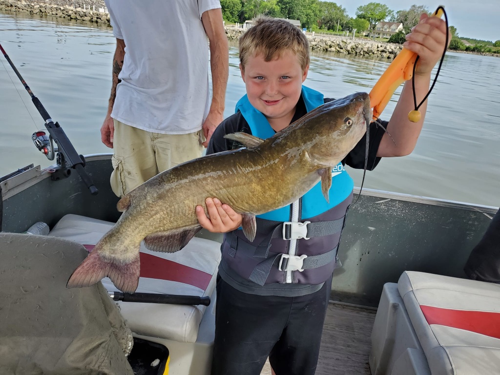 Channel Catfish caught in Port Clinton
