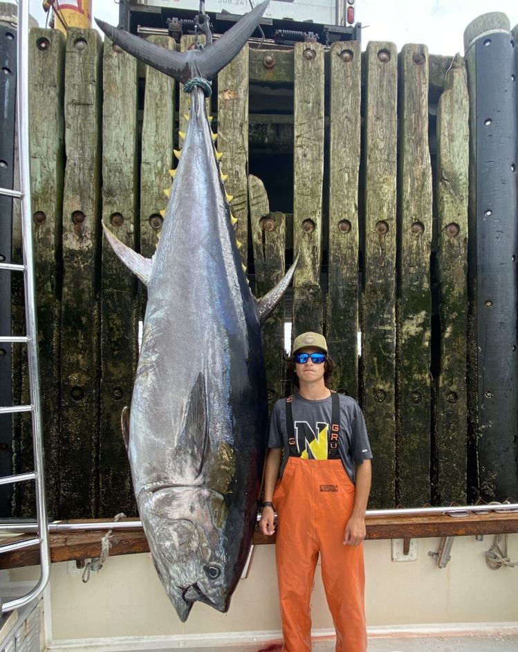 Blackfin tuna, a powerful fish caught in Massachusetts