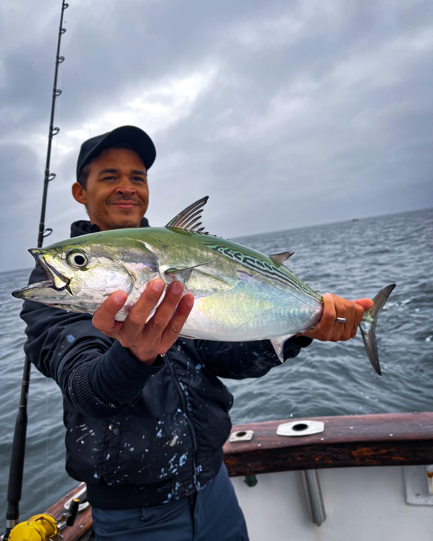 A single little tunny fish caught in MA