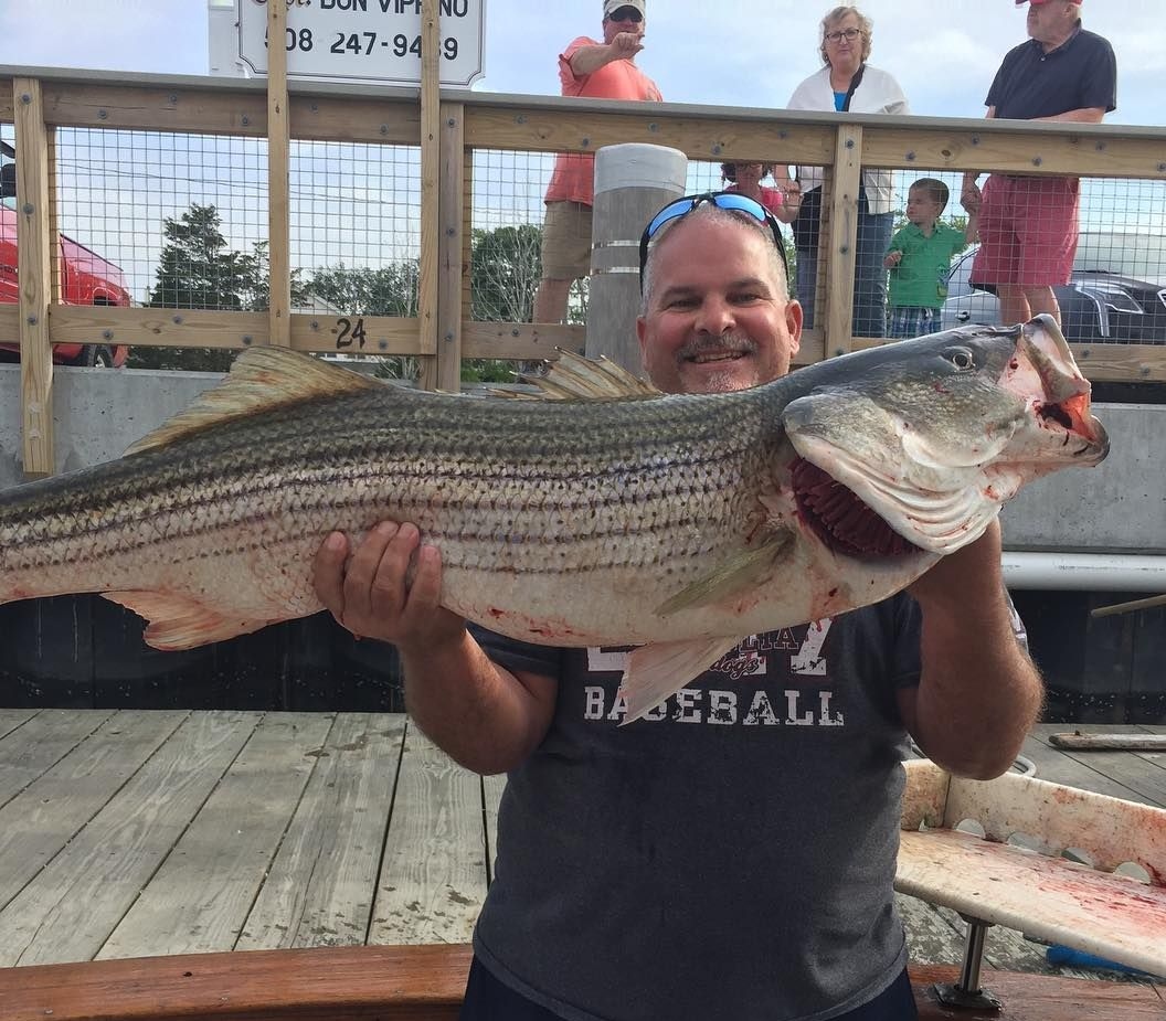 Striped bass caught in Orleans, fishing