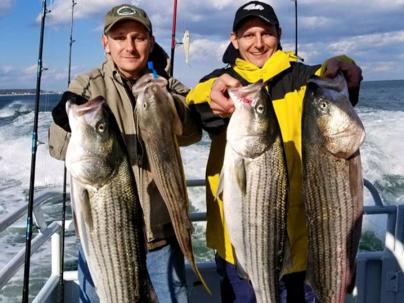 4 striped bass caught in NJ