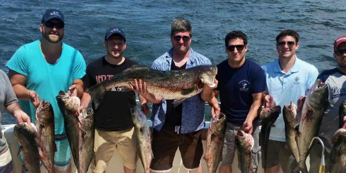 8 bluefish caught in Point Pleasant Beach