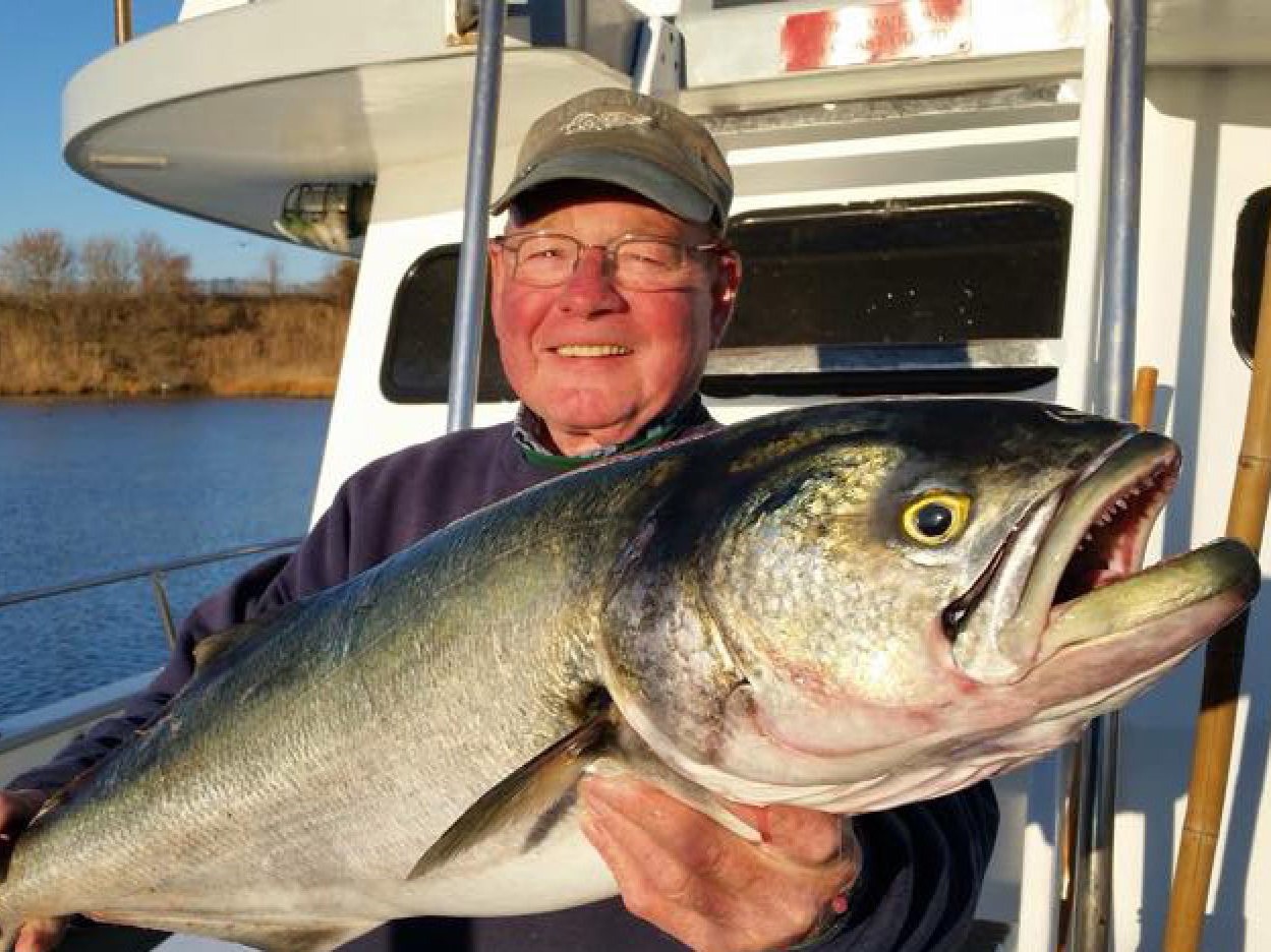 Angler with a rainbow trout in New Jersey