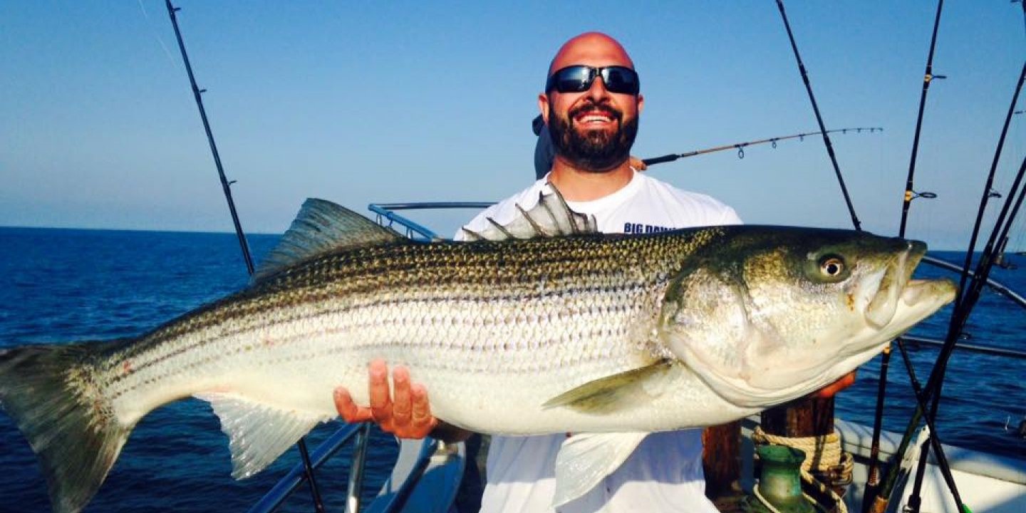Striped bass caught while fishing in NJ