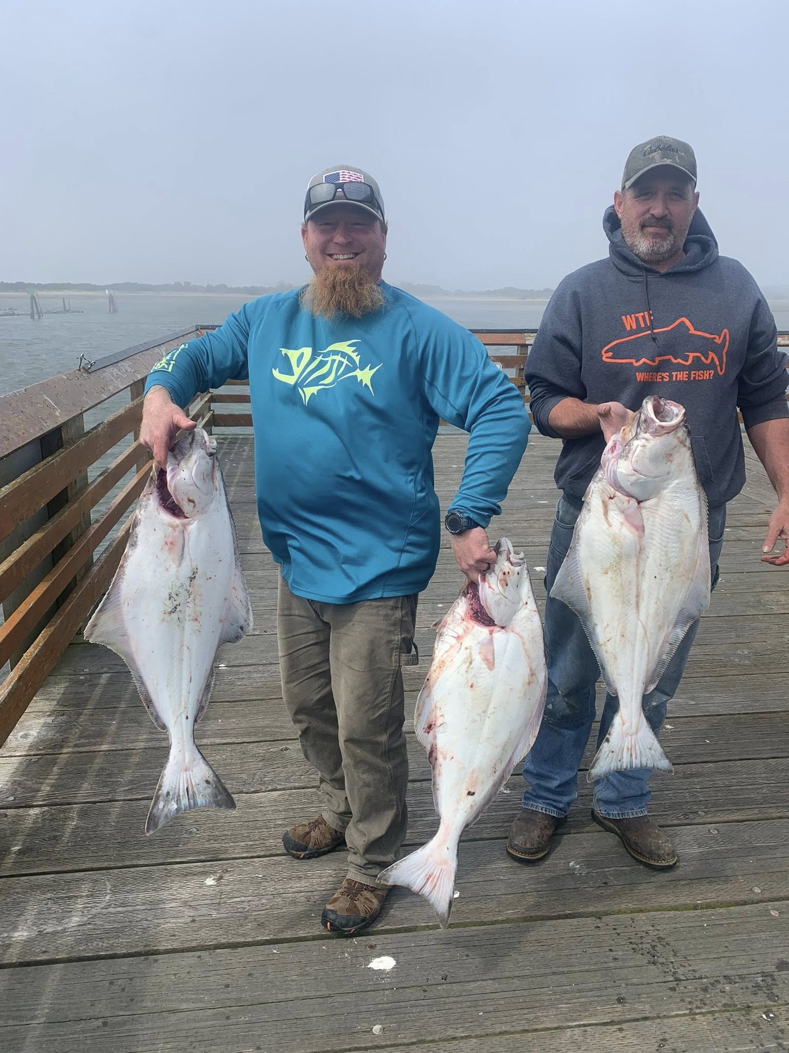 Pacific Halibut fishing success on wooden dock in Charleston Oregon with three large fish displayed