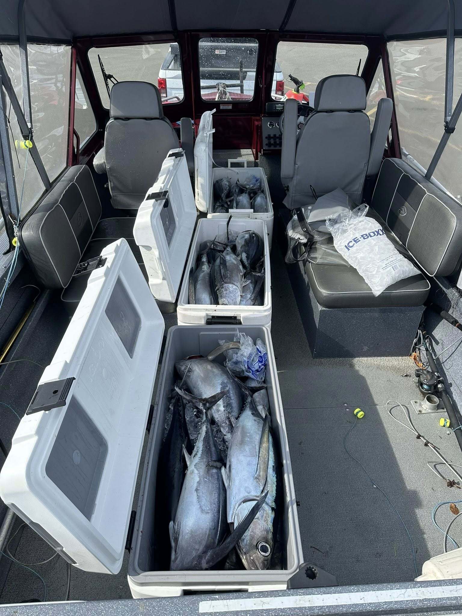 Navigator Sport