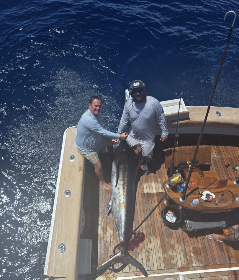 Atlantic Sailfish being caught while fishing in Dania Beach