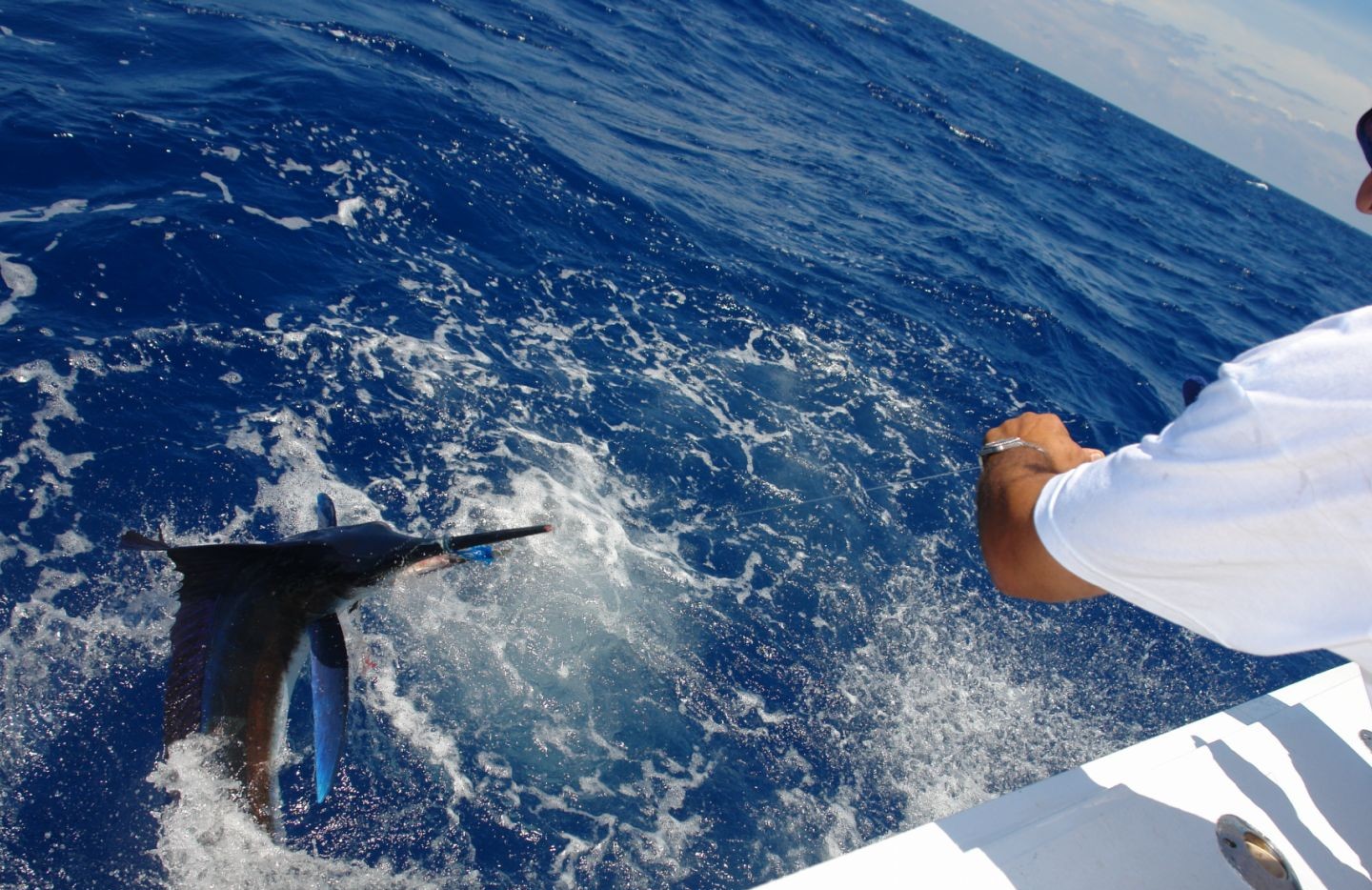 Great fishing trip in FL