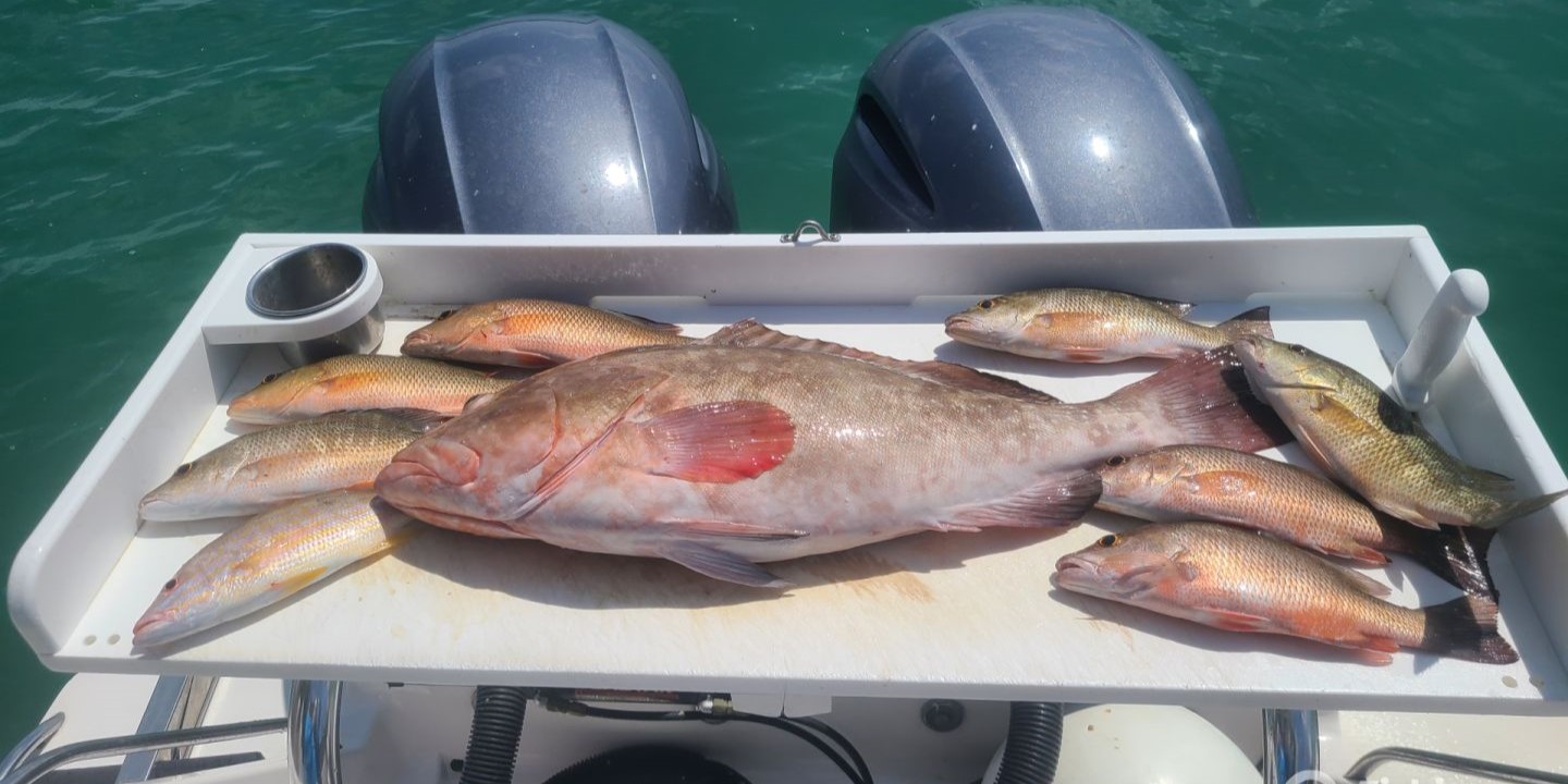 Three fish caught while fishing on Stock Island