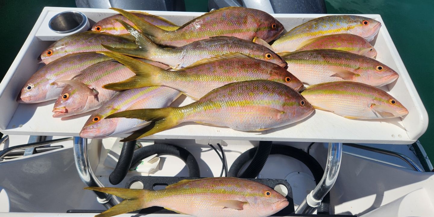 Thrilling fishing trip in Florida with 5 catches