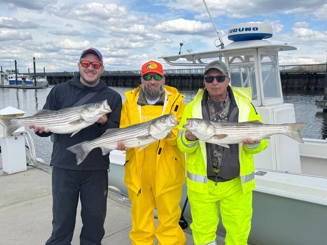 Three anglers displaying caught striped bass on fishing boat in Carteret NJ marina