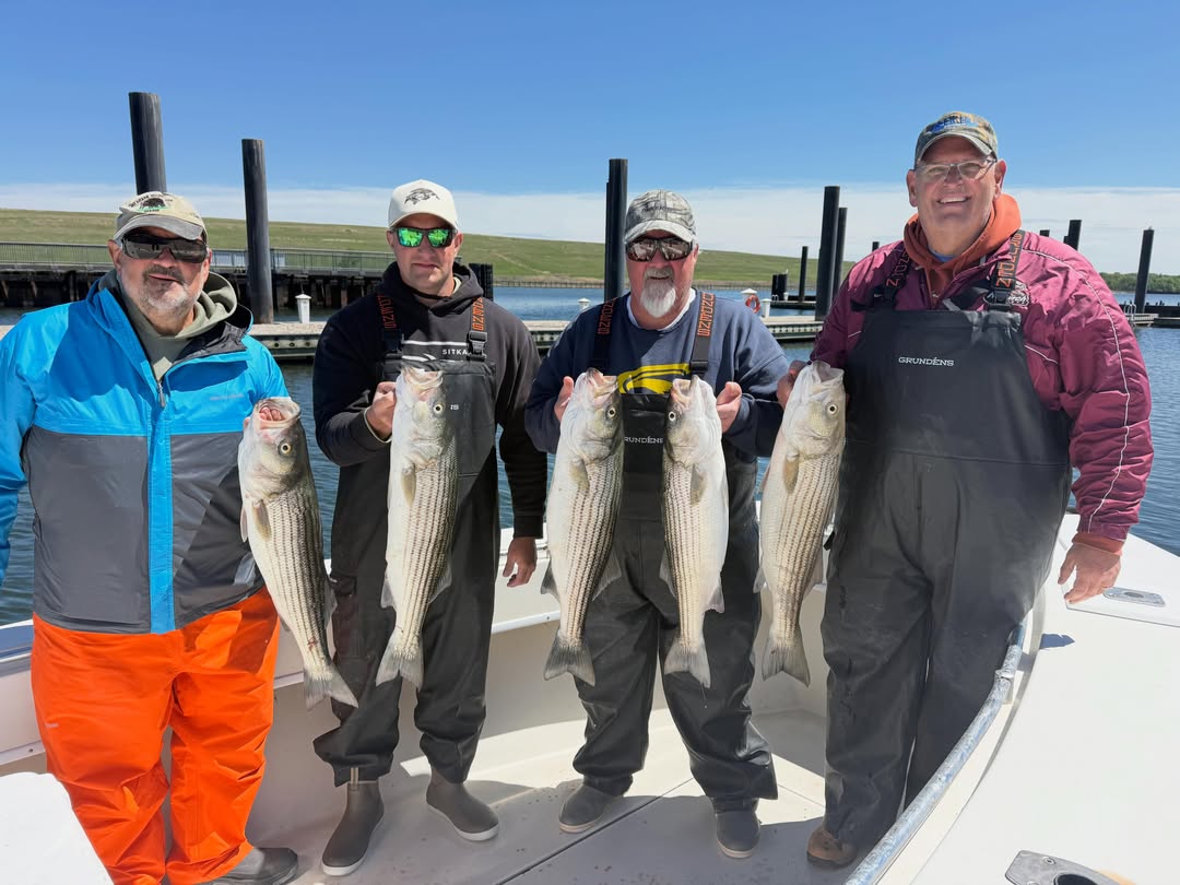 Four anglers displaying five striped bass caught during fishing trip in Carteret NJ