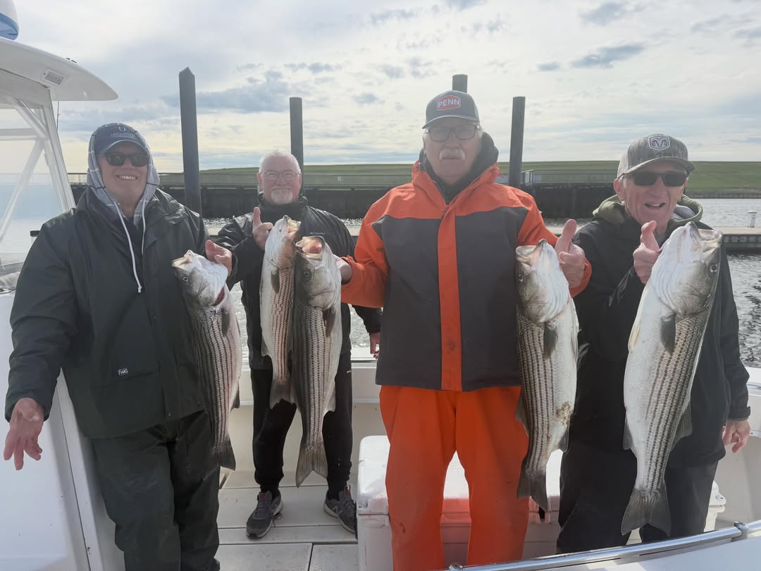 Successful striped bass fishing trip in Carteret NJ with multiple caught fish displayed