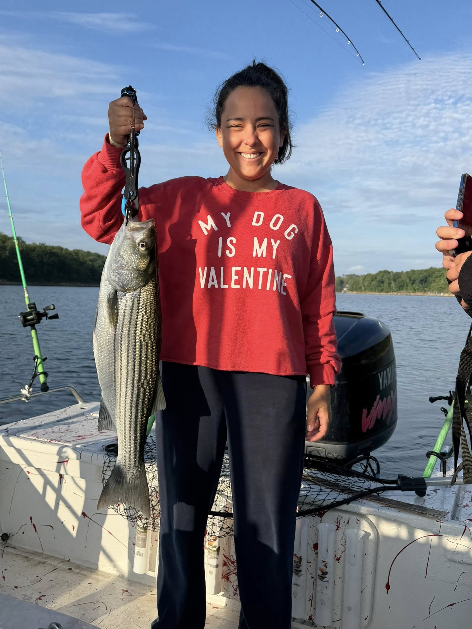 Striped bass catch displayed on fishing boat in Rogers AR